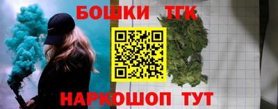 МДПВ Партизанск