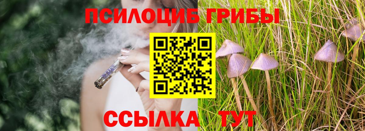 Псилоцибиновые грибы ЛСД Советск