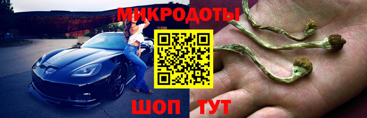 Советск  Псилоцибиновые грибы Psilocybine cubensis  Вход с VPN 